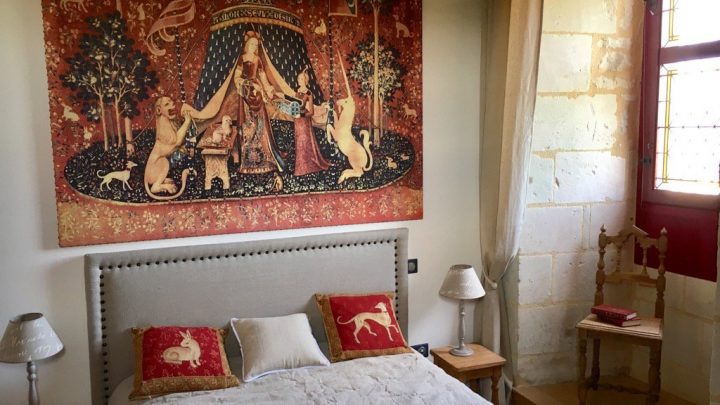 gite-odart-monts-sur-guesnes-86 (3)