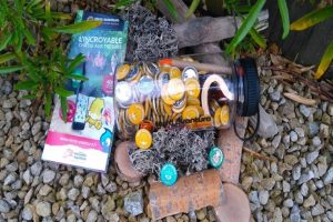 activites-geocaching-vacances-vienne