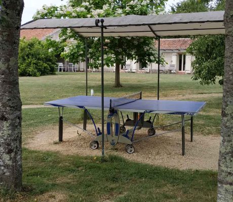 activites-tourisme-vienne-loudunais-clos-de-saires (13)