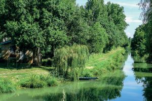 marais-poitevin