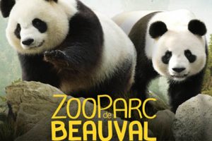 zoo-beauval-2